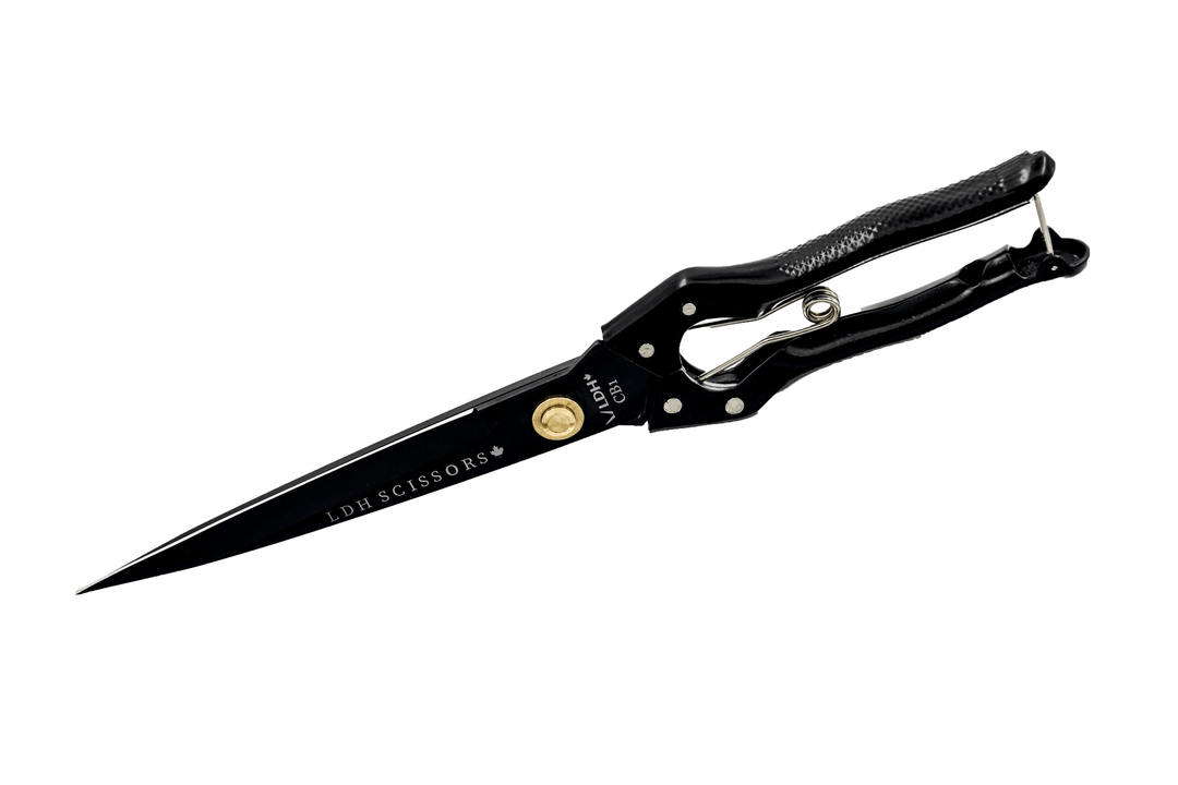 Black 14” Midnight Edition Batting Shears